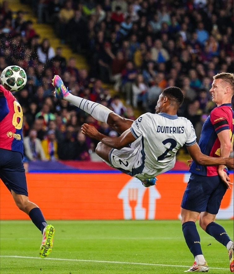 南宫28- 加蒂vs沃德二番战 